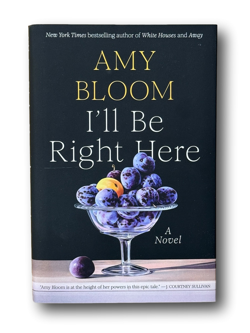 I'll Be Right Here Book by Amy Bloom